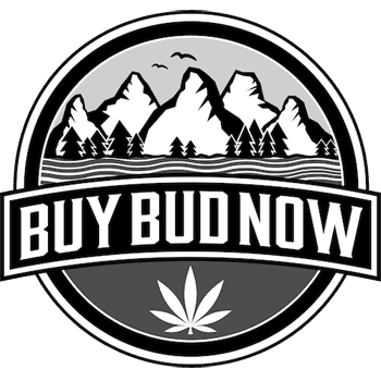 buy bud now homepage logo 01 - Cannabis Deals In Canada