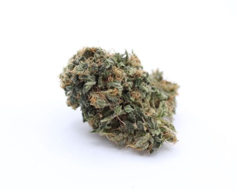 buy bud now sativa sour diesal 07 21 001 - Cannabis Deals In Canada