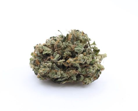 buy bud now sativa sour diesal 07 21 002 - Cannabis Deals In Canada