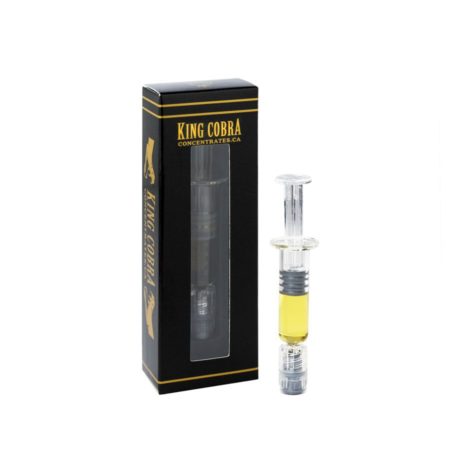 buy bud now king cobra distillate blueberry 9 10 001 - Cannabis Deals In Canada