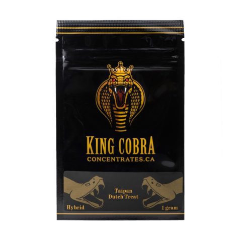 buy bud now king cobra shatter dutch treat taipan 9 10 001 - Cannabis Deals In Canada