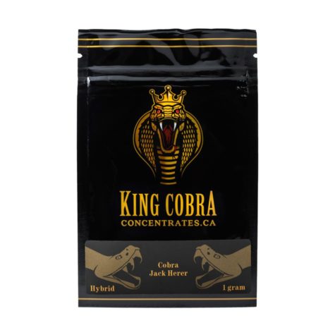 buy bud now king cobra shatter jack herer cobra 9 10 001 - Cannabis Deals In Canada