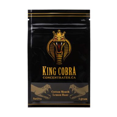 King Cobra Shatter Cotton Mouth Lemon Haze