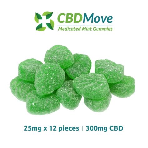 buy bud now move cbd mint gummies 300mg 9 10 002 - Cannabis Deals In Canada