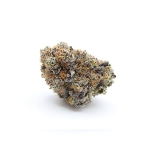buy bud now qotg canned concord cream 9 10 003 - Cannabis Deals In Canada