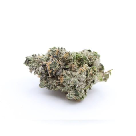 buy bud now qotg canned rainbow chip 9 10 002 - Cannabis Deals In Canada