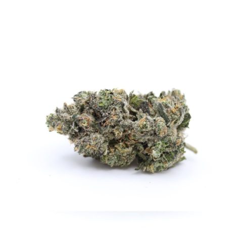 buy bud now qotg canned rainbow chip 9 10 003 - Cannabis Deals In Canada