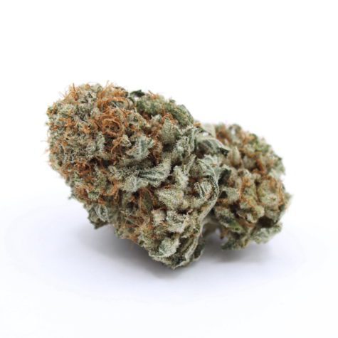 Flower OGShark Pic1 - Cannabis Deals In Canada