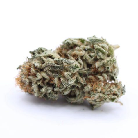 Flower OGShark Pic3 - Cannabis Deals In Canada