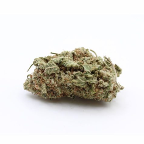 chemdawg v1 003 - Cannabis Deals In Canada