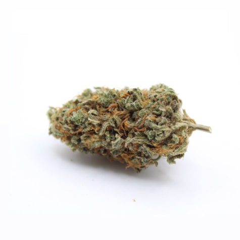girl scout cookie v1 001 - Cannabis Deals In Canada
