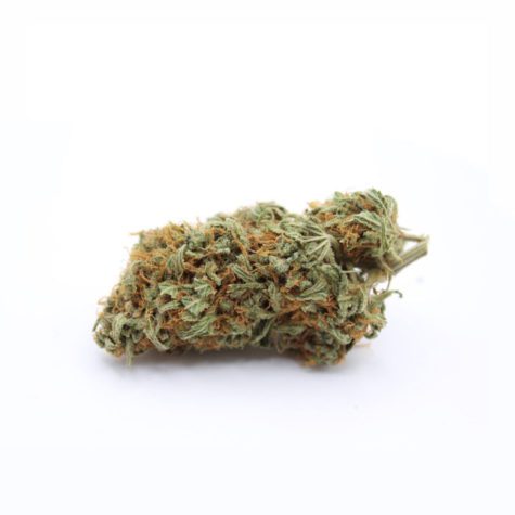 girl scout cookie v1 002 - Cannabis Deals In Canada