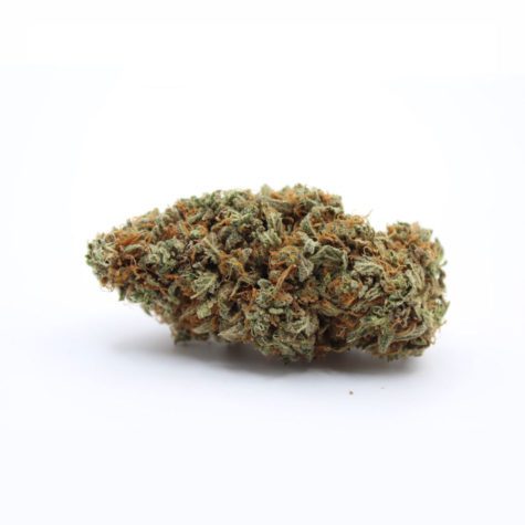 girl scout cookie v1 003 - Cannabis Deals In Canada