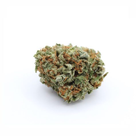 mataro blue v1 002 - Cannabis Deals In Canada
