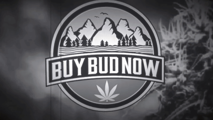 Buy Cannabis online Canada - Sales & Deals