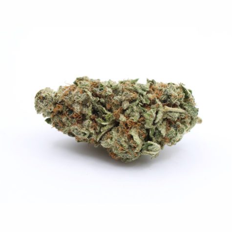 Blue Dream 03 - Cannabis Deals In Canada