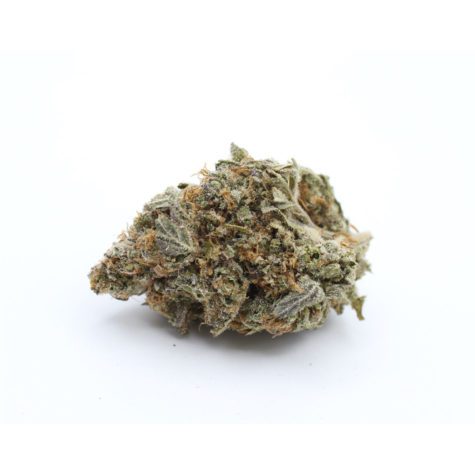 QOTG Canned Cannabis Cherry Pie 01 - Cannabis Deals In Canada
