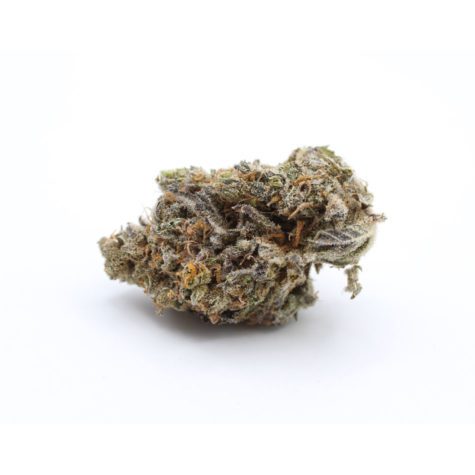 QOTG Canned Cannabis Cherry Pie 02 - Cannabis Deals In Canada