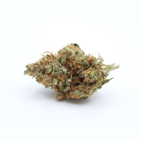 QOTG Canned Cannabis Super Lemon Haze 02 - Cannabis Deals In Canada