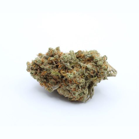 QOTG Canned Cannabis Super Lemon Haze 03 - Cannabis Deals In Canada