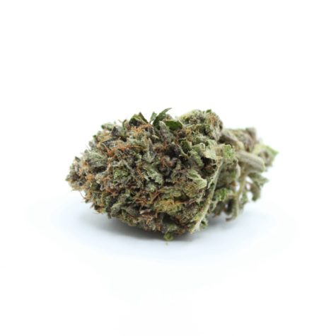 bubba kush 002 - Cannabis Deals In Canada