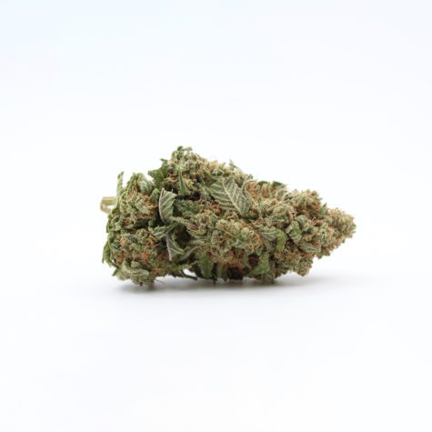 gorilla glue 4 003 - Cannabis Deals In Canada