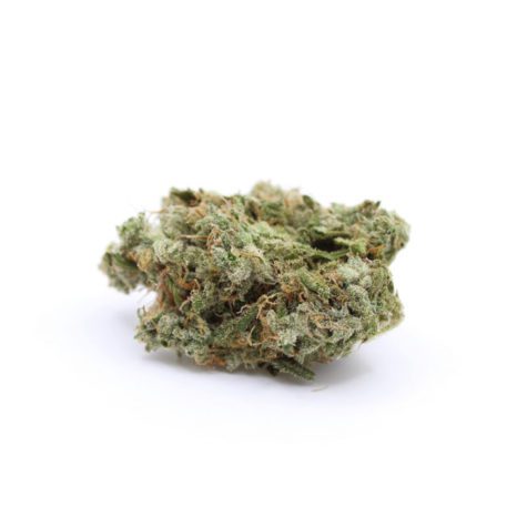 moby dick 001 - Cannabis Deals In Canada