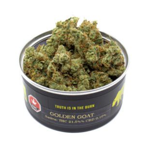 buy Skookum canned cannabis from BC