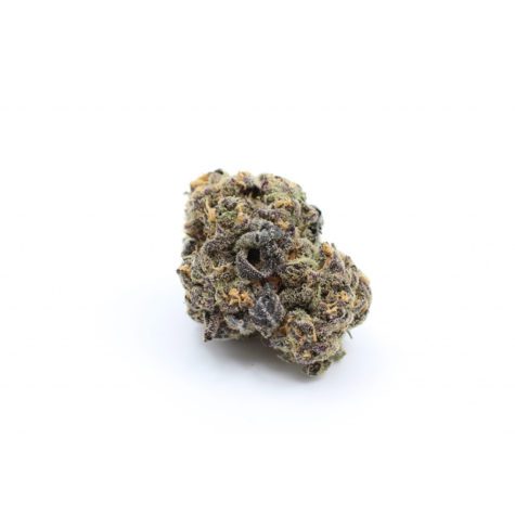 zombie kush organic 002 - Cannabis Deals In Canada