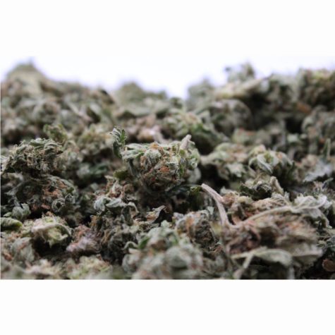 Northern Skunk VERSION A 03 - Cannabis Deals In Canada
