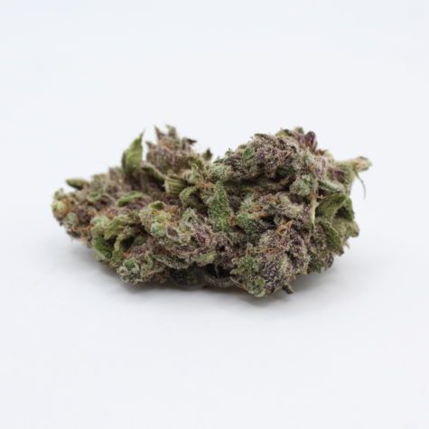 Flower PPoison Pic3 - Cannabis Deals In Canada