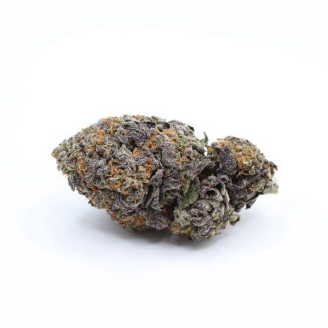 FLOWER PURPPUNCH PIC1 - Cannabis Deals In Canada