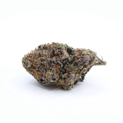 FLOWER PURPPUNCH PIC3 - Cannabis Deals In Canada