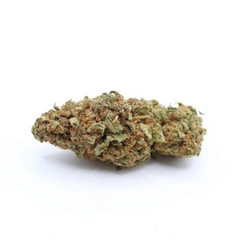 Flower CitrusHaze Pic1 - Cannabis Deals In Canada