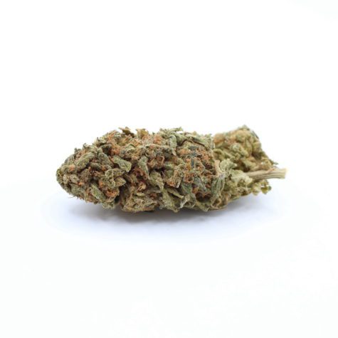 Flower CitrusHaze Pic3 - Cannabis Deals In Canada