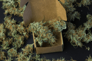 Read more about the article Best Guide To: Buy Bud Online in 2023