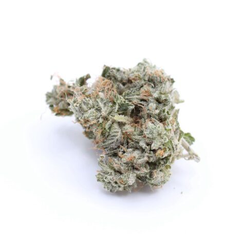 Flower BlkTuna Pic2 - Cannabis Deals In Canada