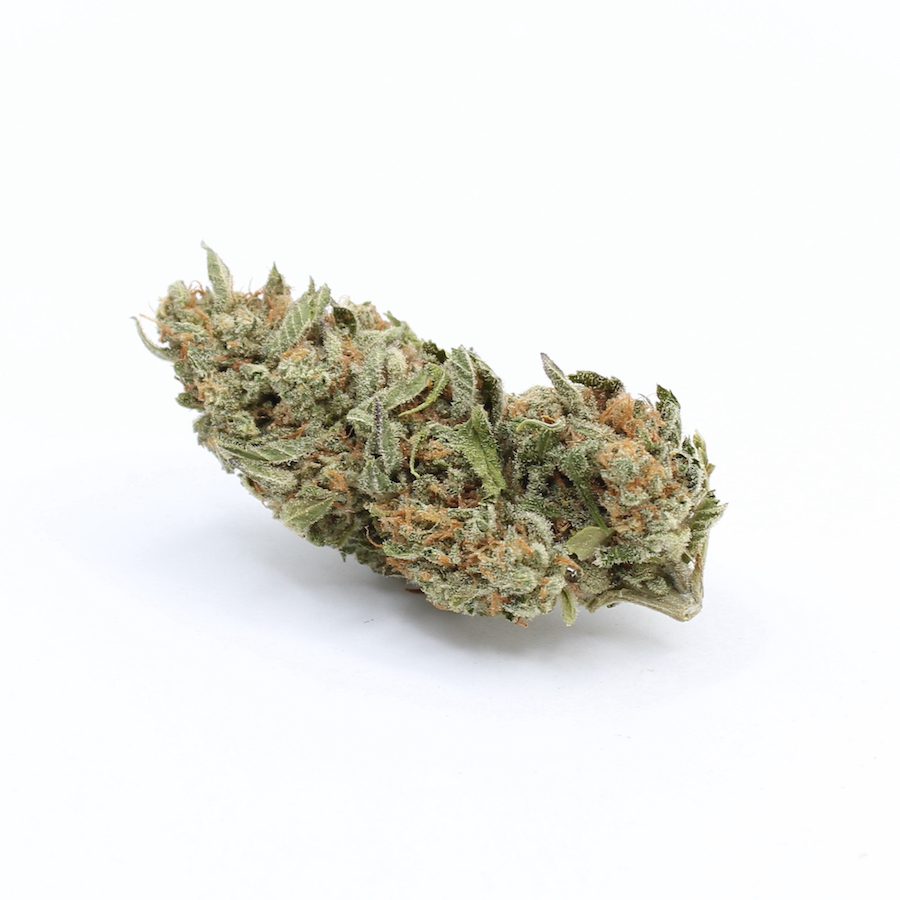 Flower SSH Pic1 - Cannabis Deals In Canada