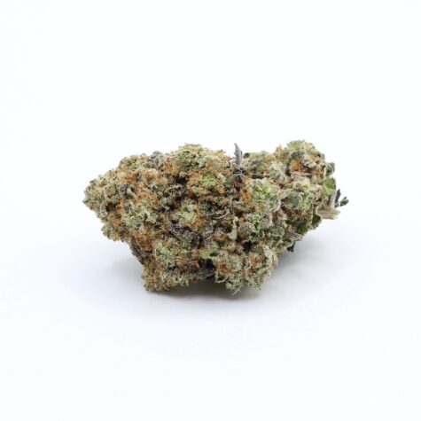 Flower Tropicali Pic3 - Cannabis Deals In Canada