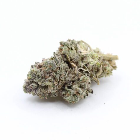 Flower GummyBear Pic3 - Cannabis Deals In Canada