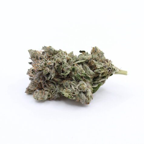 Flower PineTarK Pic3 - Cannabis Deals In Canada
