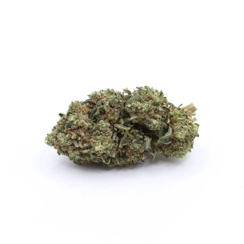 Flower TuttiF Pic2 - Cannabis Deals In Canada