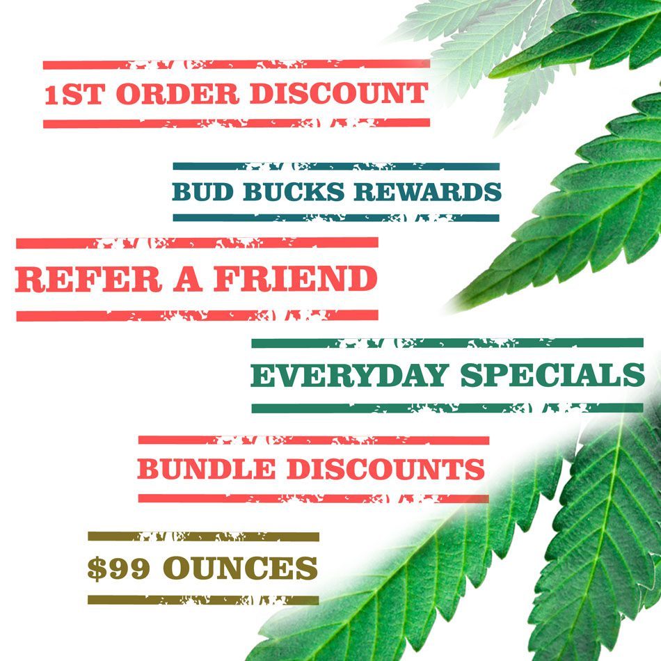 Buy-Bud-Now-All Cannabis Promos and Sales